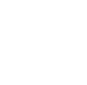 WinnerZilla - Dropshipping tool logo